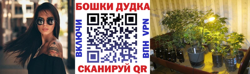 Каннабис Bruce Banner Усть-Катав