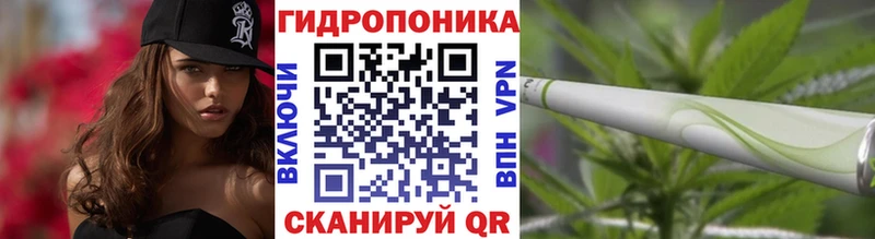 Каннабис планчик  Купить где  Усть-Катав 